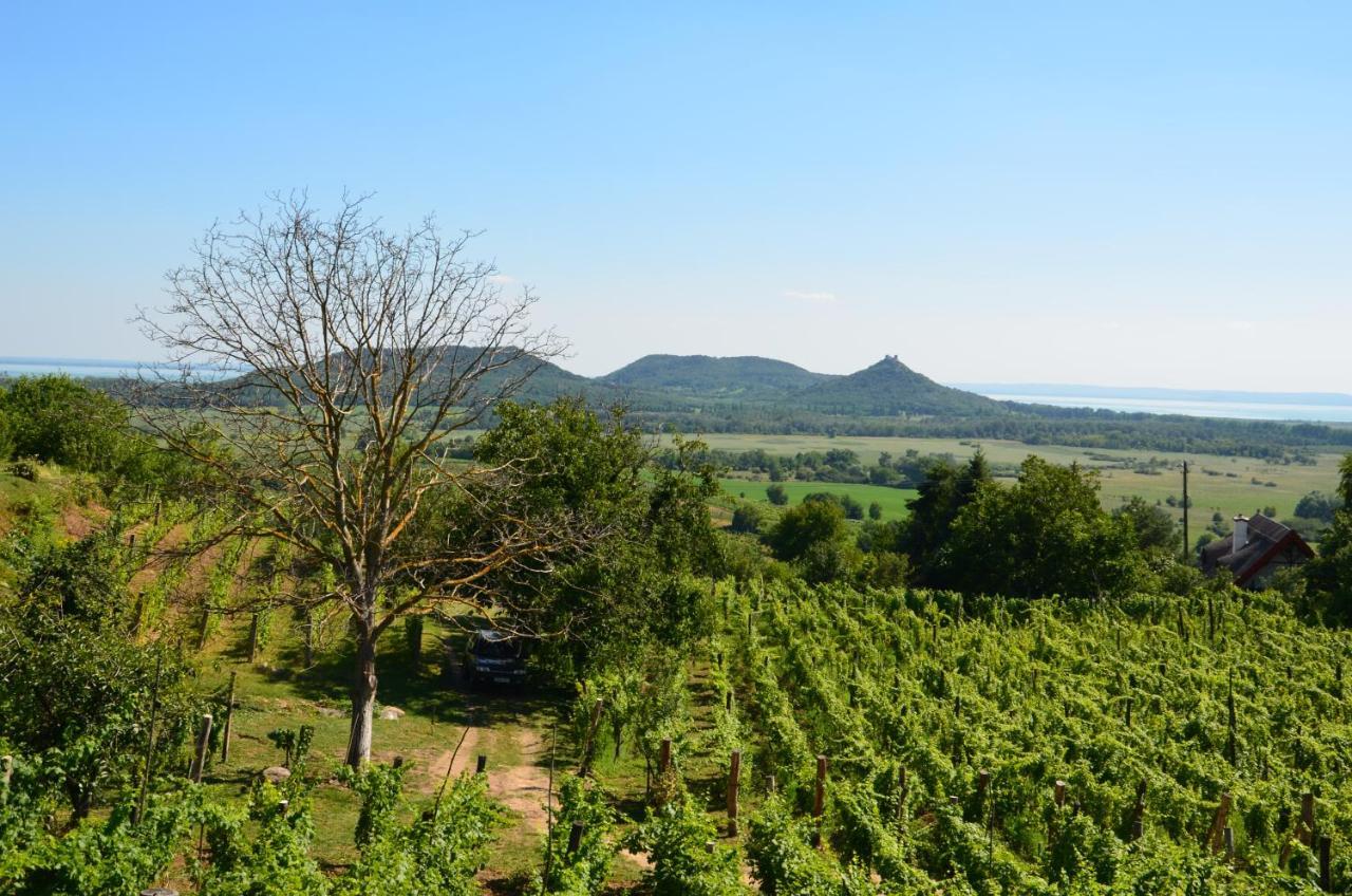 Grand Cru 3. Vendeghaz Villa Hegymagas Eksteriør billede