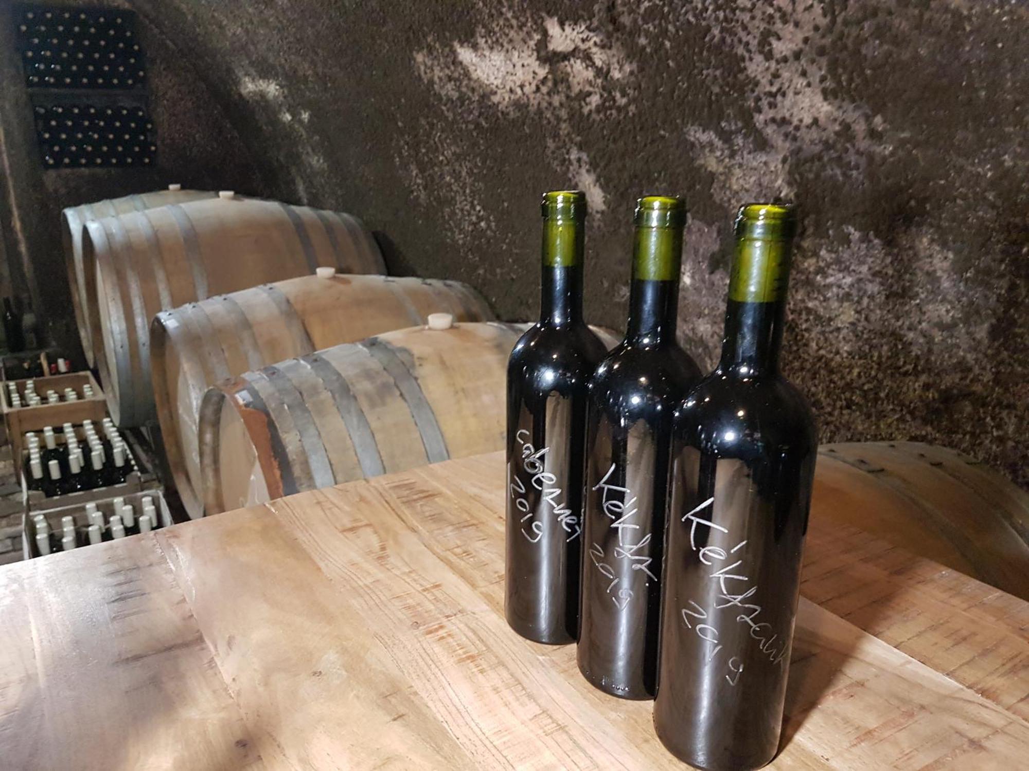 Grand Cru 3. Vendeghaz Villa Hegymagas Eksteriør billede