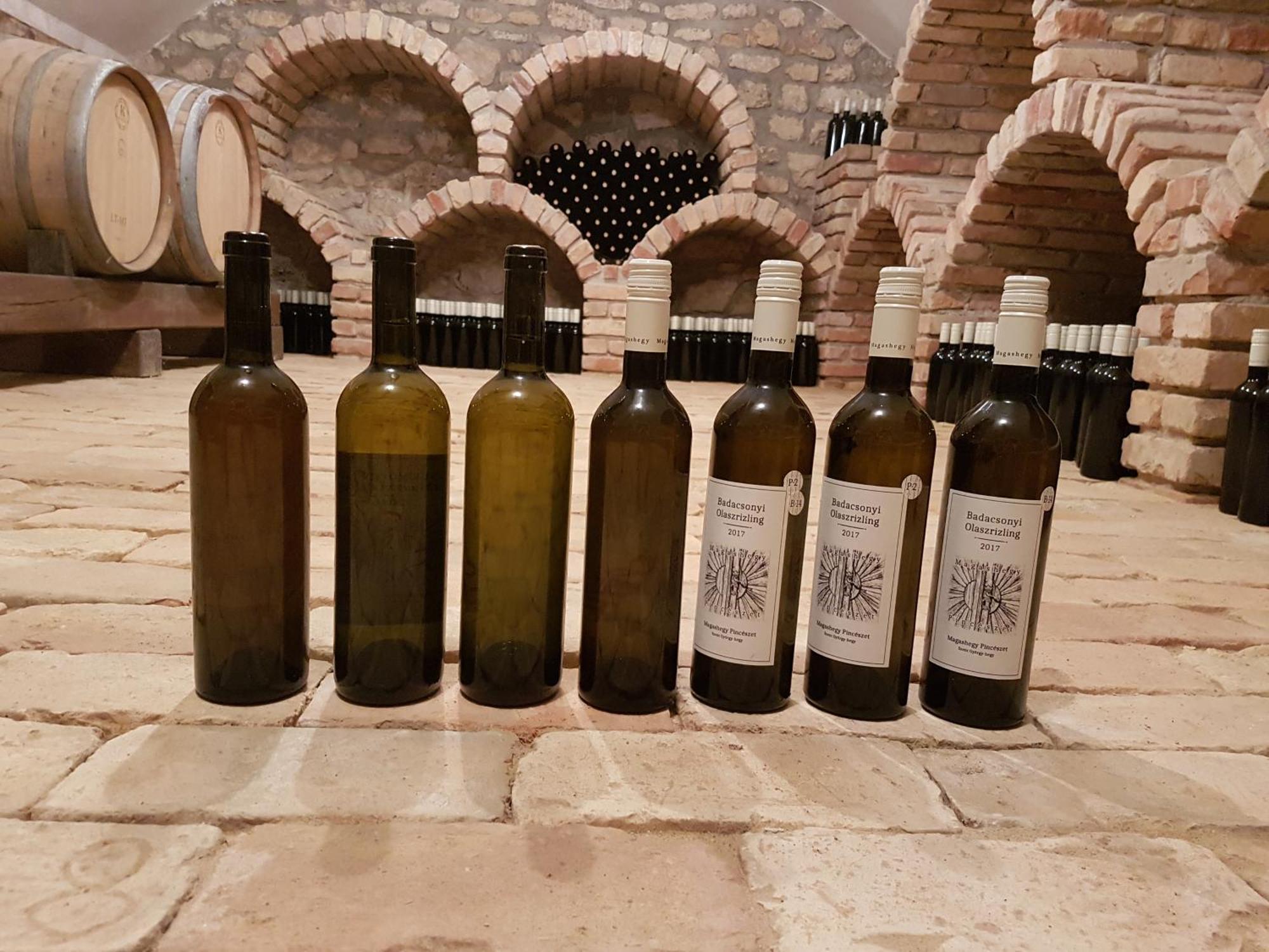 Grand Cru 3. Vendeghaz Villa Hegymagas Eksteriør billede