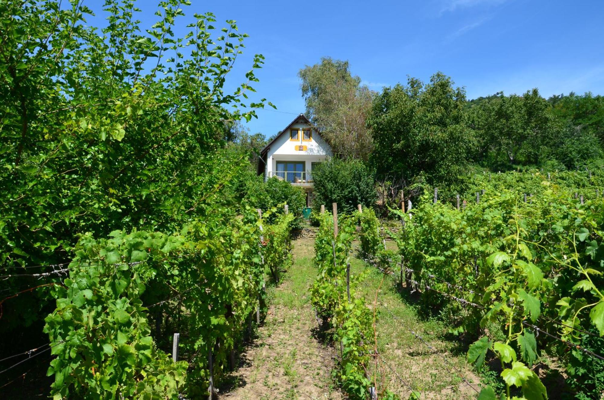 Grand Cru 3. Vendeghaz Villa Hegymagas Eksteriør billede